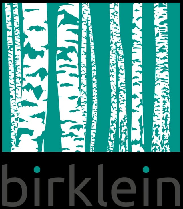 birklein IT GmbH